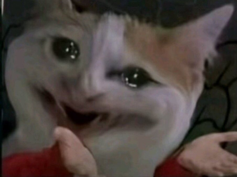 Uncle Bruno tweet media