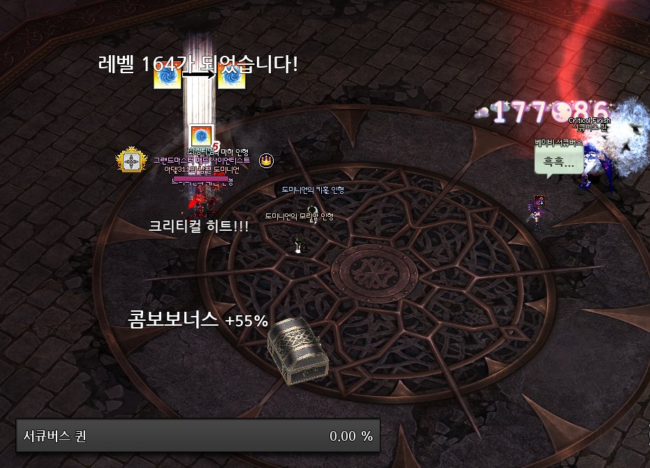 도미 tweet media