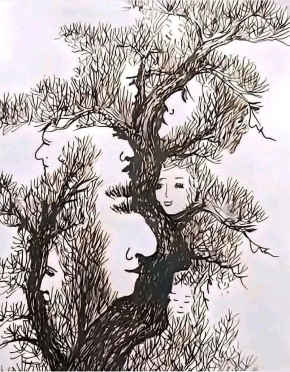 ‏﮼متعب ﮼الشمري ﮼ tweet media