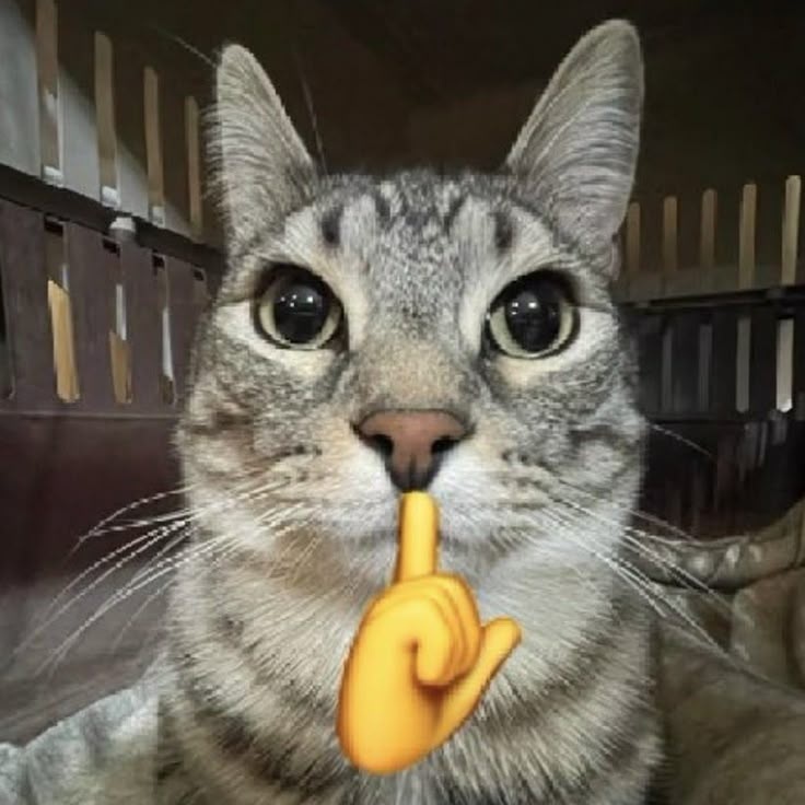 vinayakahuja64's tweet image. Cmon, everyone knows AI can write the code but you still learn it for the logics, for thinking, for finding and fixing bugs. 

Code is not about writing its about thinking.

#code