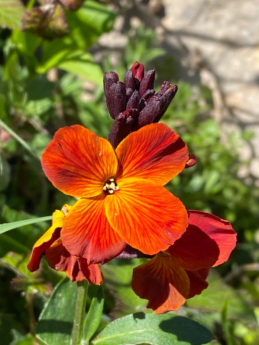 Michelle Clarke tweet media