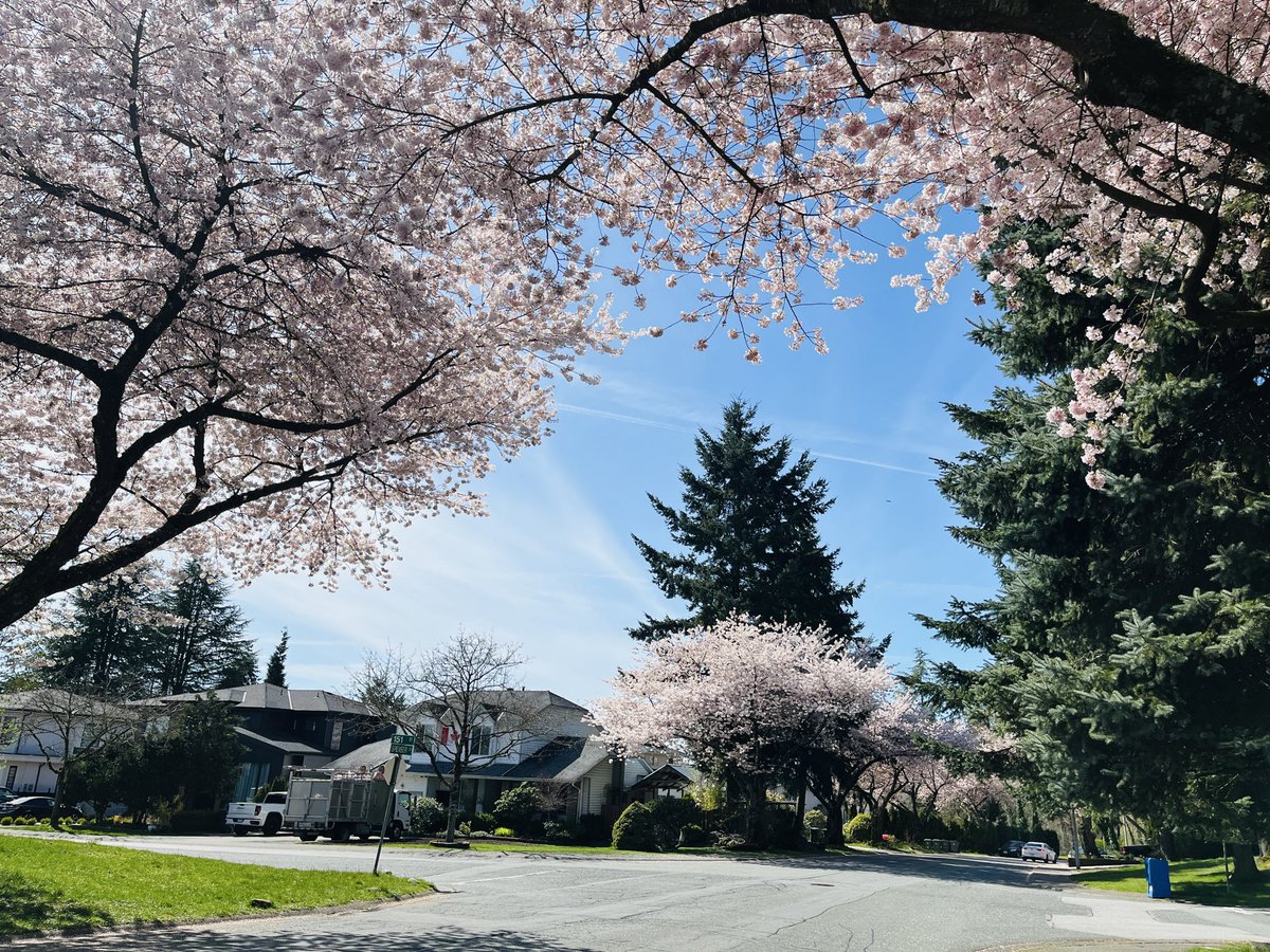 Harvey🇨🇦🇦🇺🇺🇸 tweet media