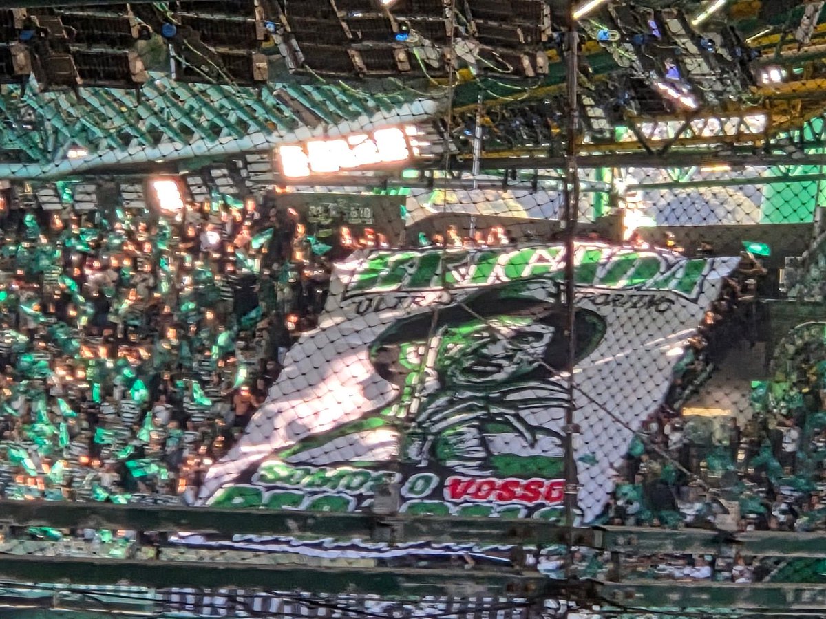 João Bizarro tweet media