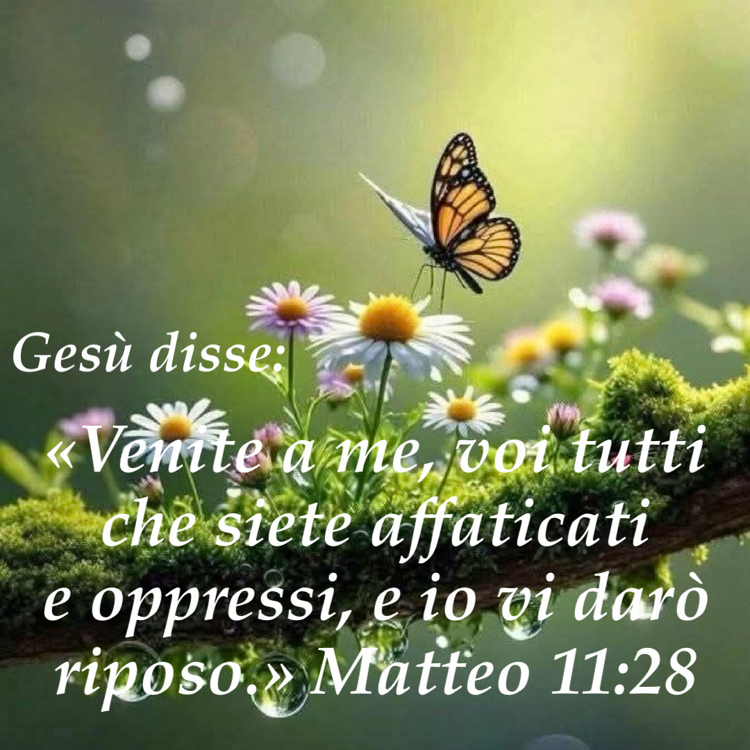 ArmandoSofia2's tweet photo. https://t.co/vZBNZo9CkV