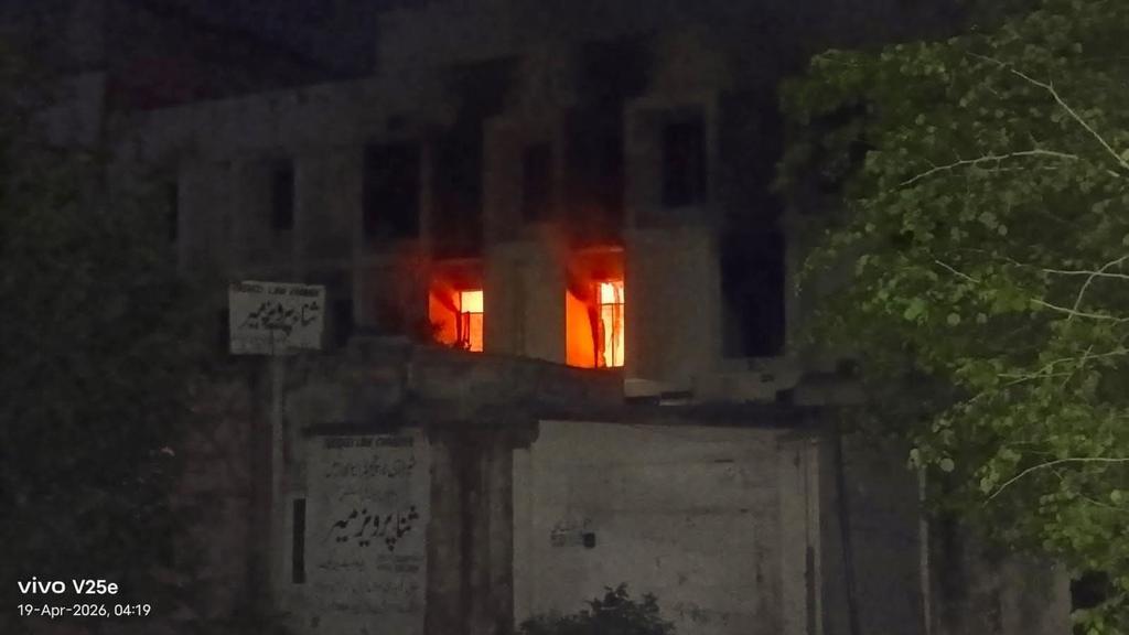 Aly Balti tweet media