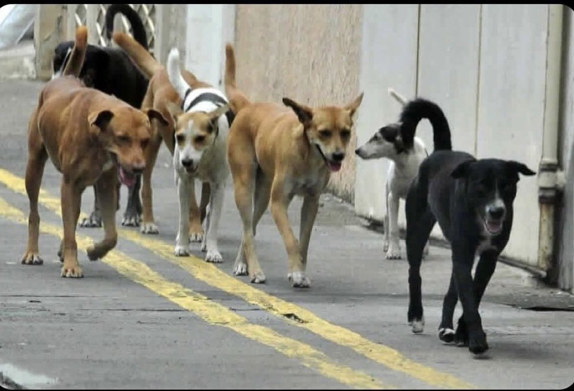 L!PTON_GLACÈ☕️🇬🇳 tweet media