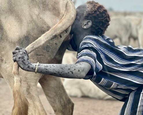 AHjerdin's tweet image. African tribes blow cow anus and cow vagina to stimulate milk production.

#africanpride