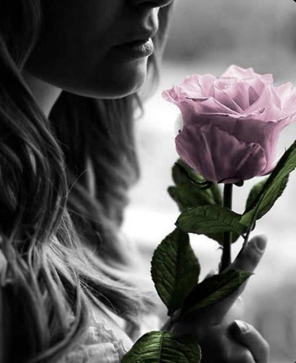 غرام العنزي ♡ tweet media