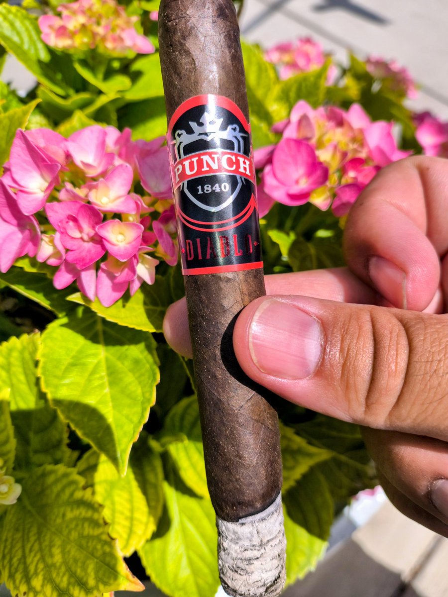PuffSmokeNAsh's tweet image. After Lunch Cigar is this fav from @punchcigars Diablo #Toro simply put, she is a flavor 💣💥💣💥💣💥💣💥💣💥💣💥💣💥💣💥💣💥💣💥💣 💥💣💥💣💥💣💥💣💥💣💥💣💥💣💥💣💥💣💥💣💥💣💥🧨