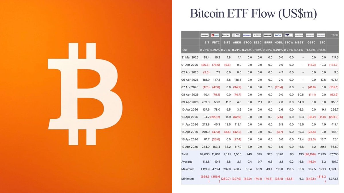 Ava Feeds tweet media