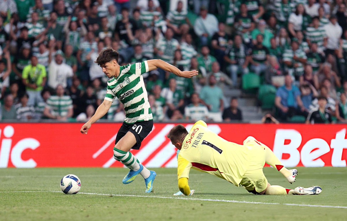 Sporting CP Adeptos 🏆🏆 NOVA tweet media