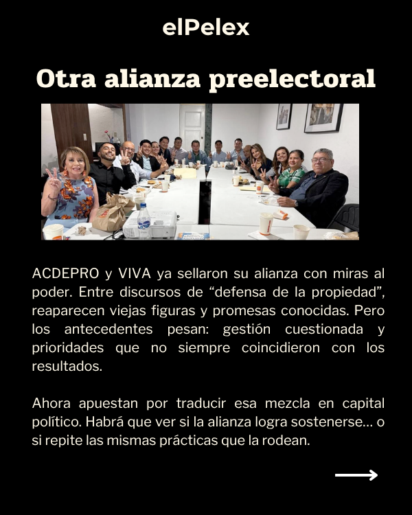 Golpes bajo la mesa, alianzas que se cocinan en silencio y nombres que vuelven a aparecer donde siempre 🔍⚖️ La postuladora deja más dudas que certezas… y lo que se mueve detrás es aún más pesado.
Este #elPelex te cuenta lo que no te están diciendo 👀🔥epinvestiga.com/elpelex/shinol…