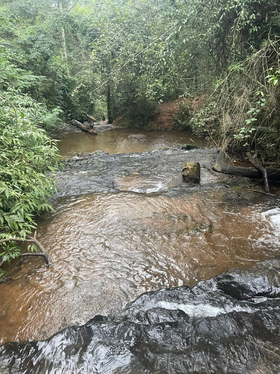 Silvinho 🌸 tweet media