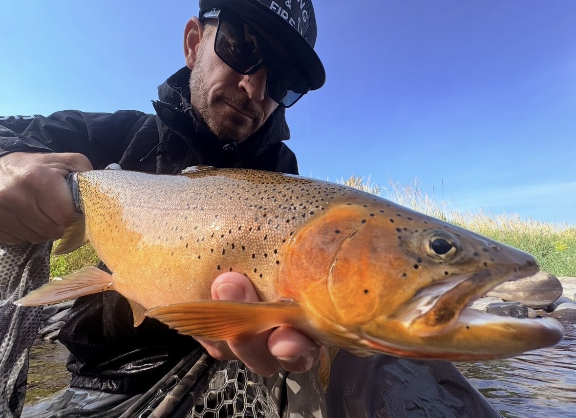 FishingandFire's tweet photo. When Cutthroat come ‘two-handed’ and full of Rocky Mountain West slope fire.
#flyfishing #adventure #outdoors #trout #backcountry #fish https://t.co/G7VS5bXEz2