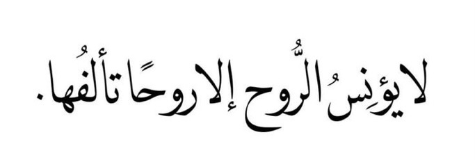 Mia. (@mia_mali) on Twitter photo 