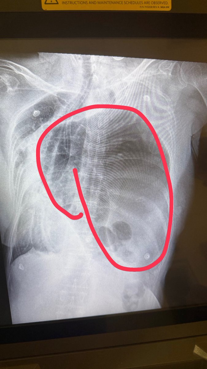 DiCapria tweet media