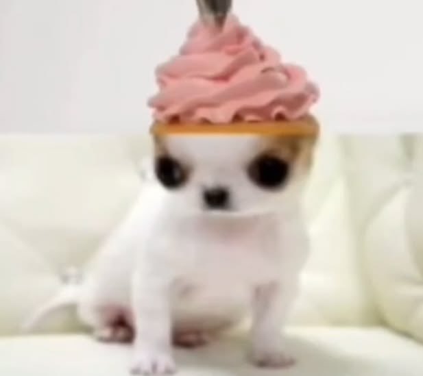 seraphanni's tweet image. can someone recommend me ana subliminals without the purging part? i hate purging... it's gross

#edtwt #ana #anatwt #tatwt #loatwt #loa #subtwt