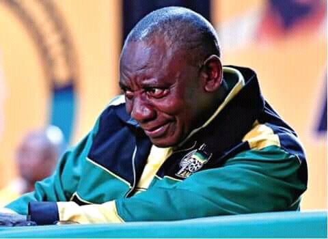 TSHEPO 🌍 TSP tweet media