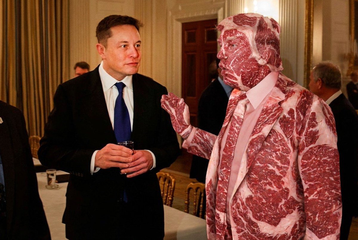 elon, we're gonna need you to make my meaty body the spacex mascot.