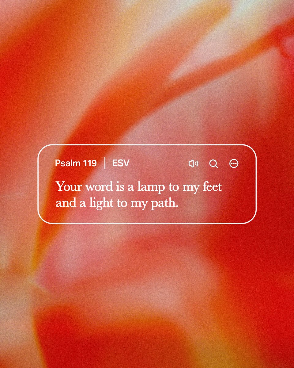 YouVersion Bible App tweet media