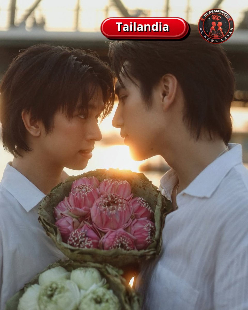 BL NEWS LATAM🎬📽🎞📄😄❤️‍🔥 tweet media