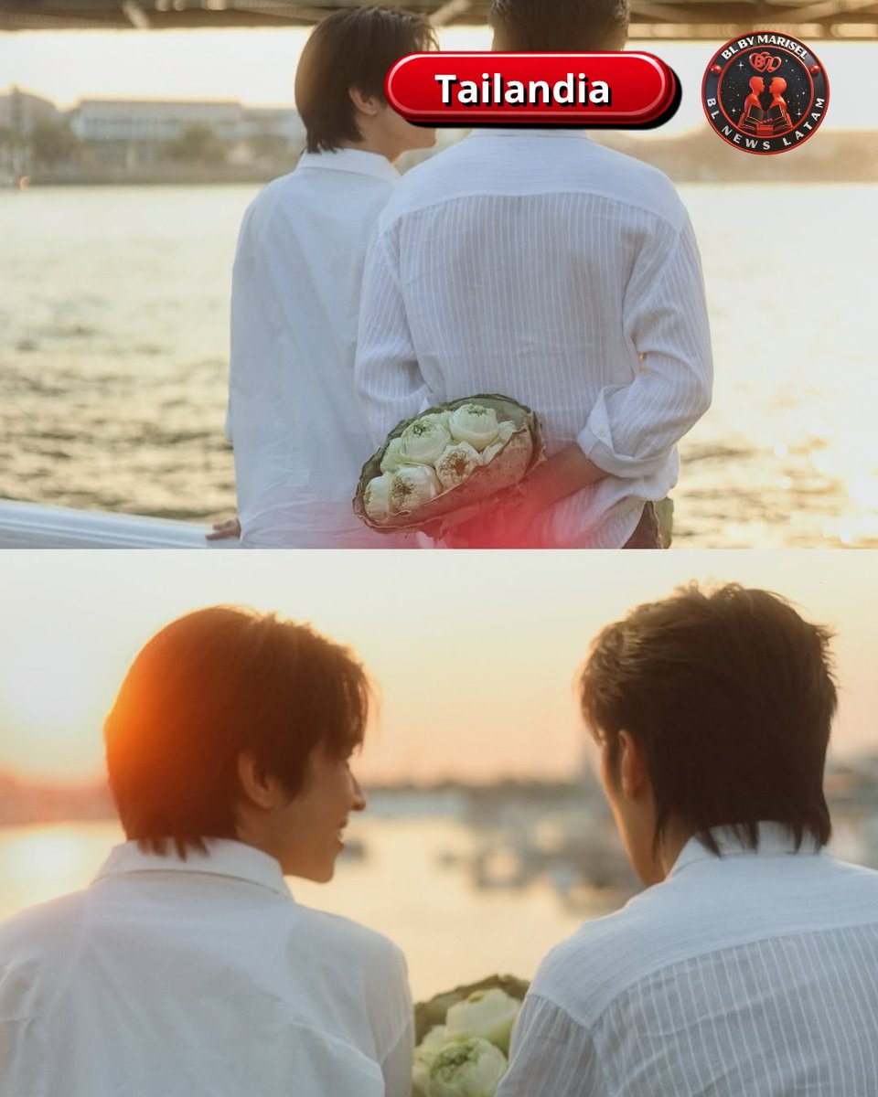 BL NEWS LATAM🎬📽🎞📄😄❤️‍🔥 tweet media