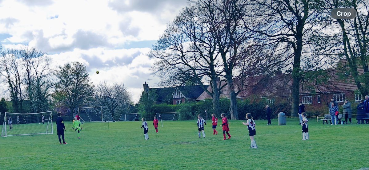 Stone Old Alleynians Girls & Ladies Football Club tweet media