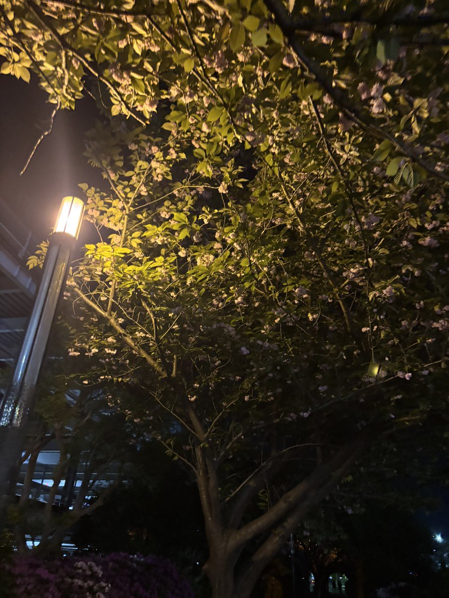 たかまる tweet media