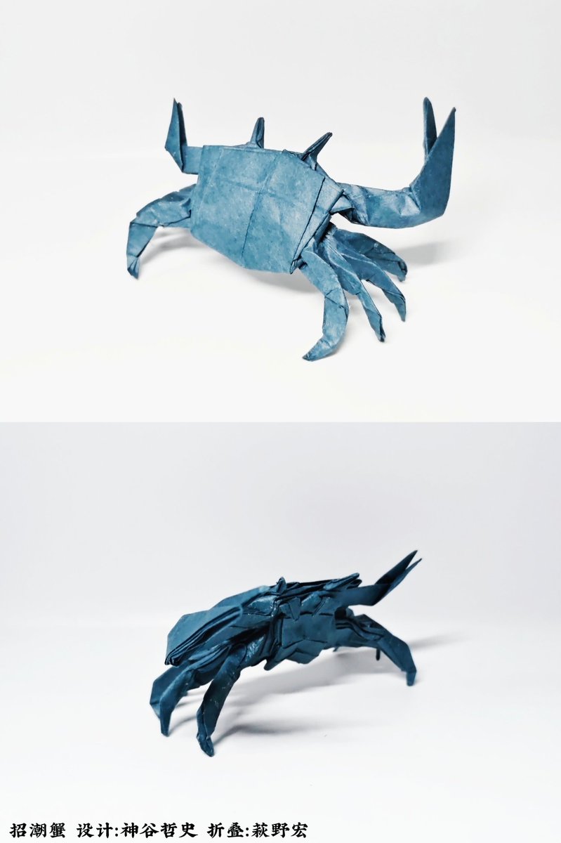 BeeOrigami's tweet image. 招潮蟹
设计：神谷哲史
用纸：35cm和纸40g
#折纸 #折り紙 #Origami