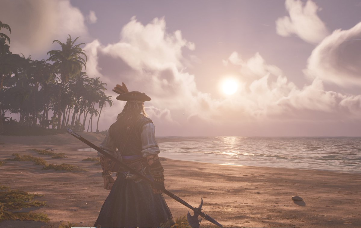 Jess 🦈 tweet media