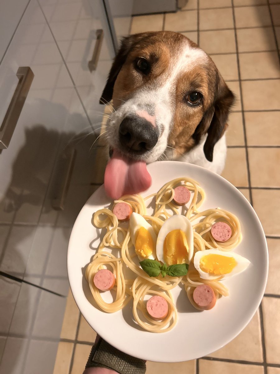 Burgfräulein_Stine tweet media