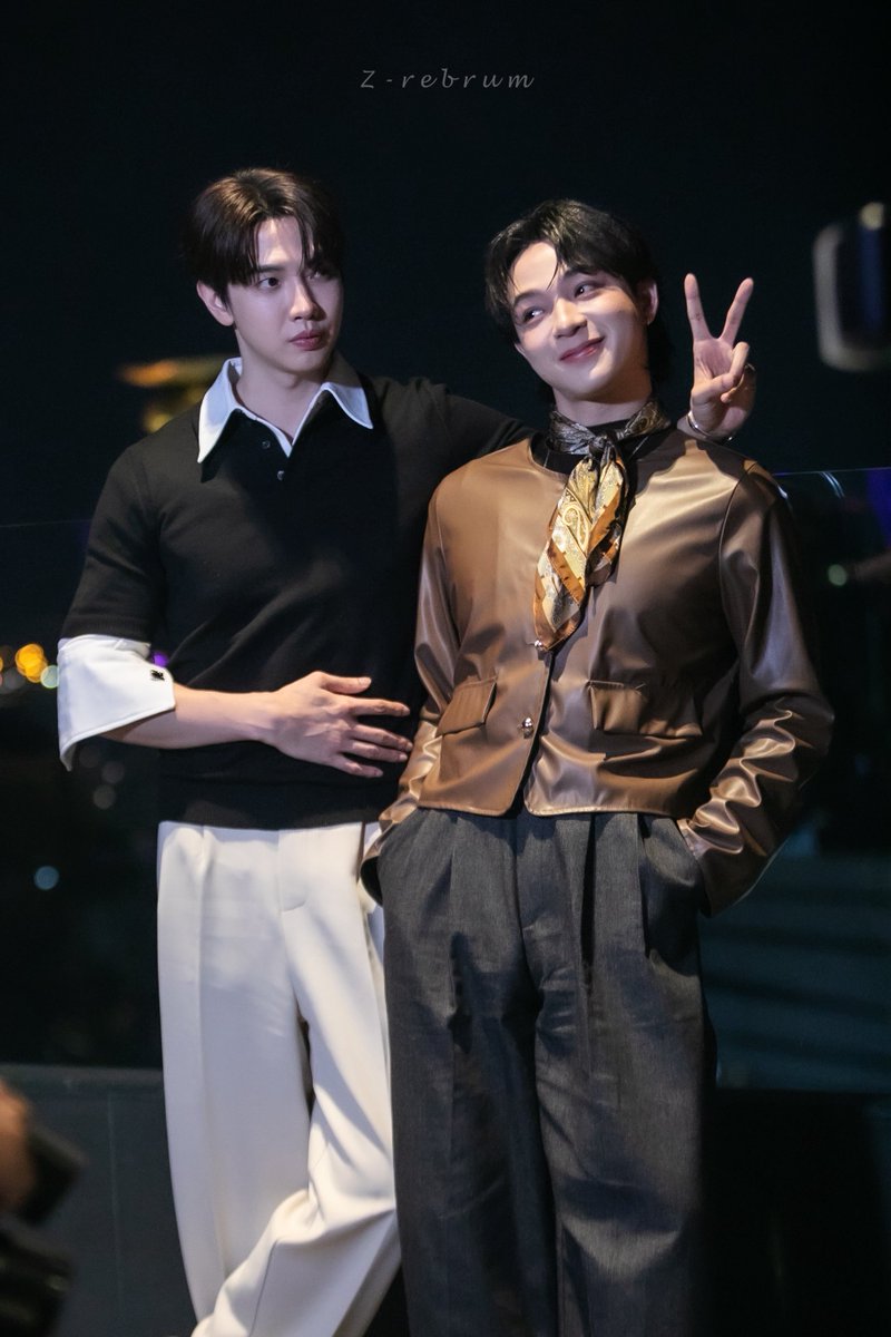 Z-rebrum tweet media