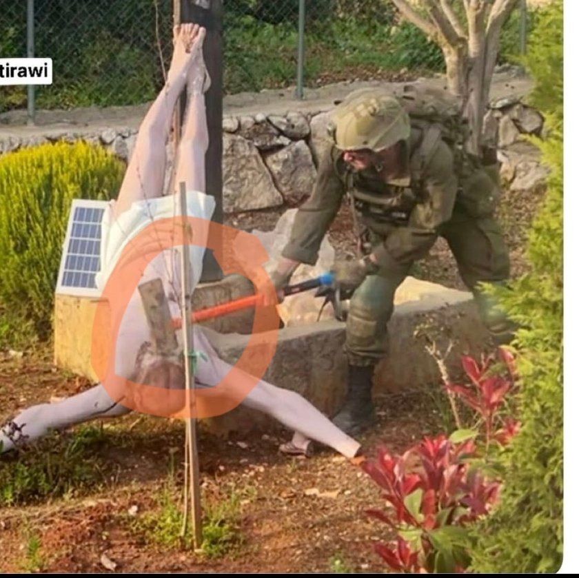 aywa_alek tweet media