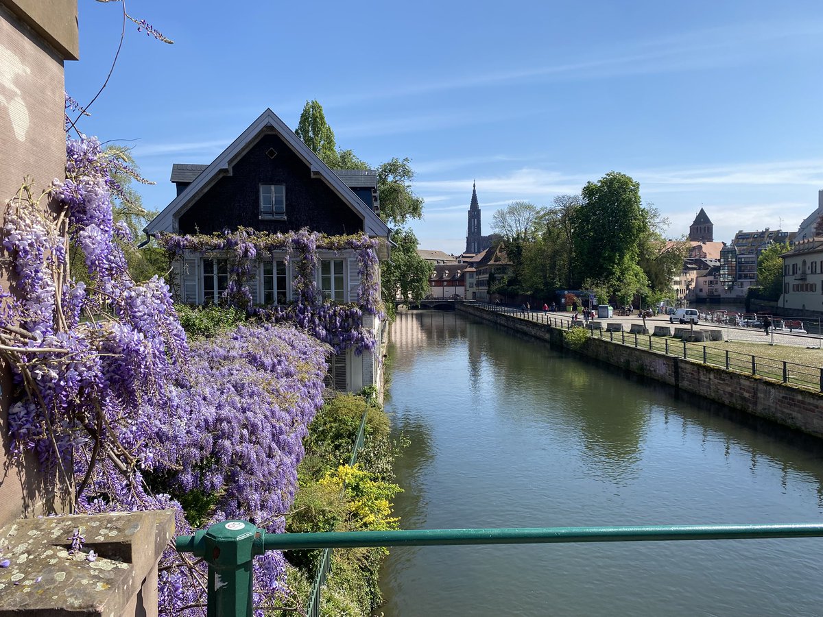 SIMONETEric's tweet image. De passage en #alsace que c’est beau !!! Entre les villages typiques, les monuments, châteaux, et la nourriture ça vaut le détour #MagnifiqueAlsace #alsace #MagnifiqueFrance