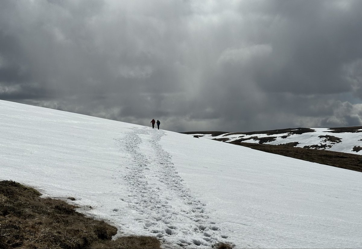 MunroMoonwalker's tweet image. Great day crossing Jock’s Road from
Braemar to Glen Doll #scotland #mountains #cairngorms