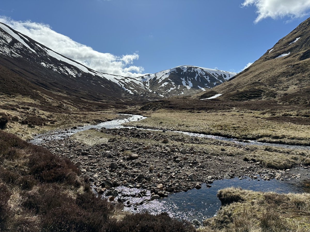 MunroMoonwalker's tweet image. Great day crossing Jock’s Road from
Braemar to Glen Doll #scotland #mountains #cairngorms
