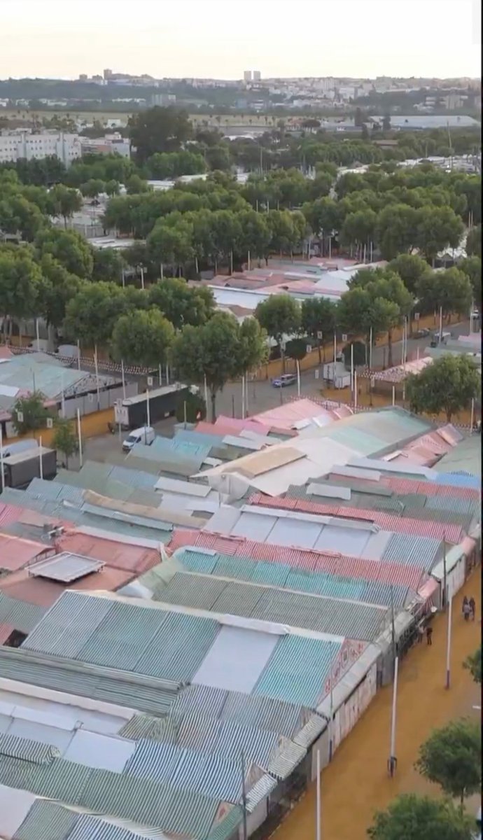 En nada te clavan en estas chabolas 12€ por una jarra de rebujito.