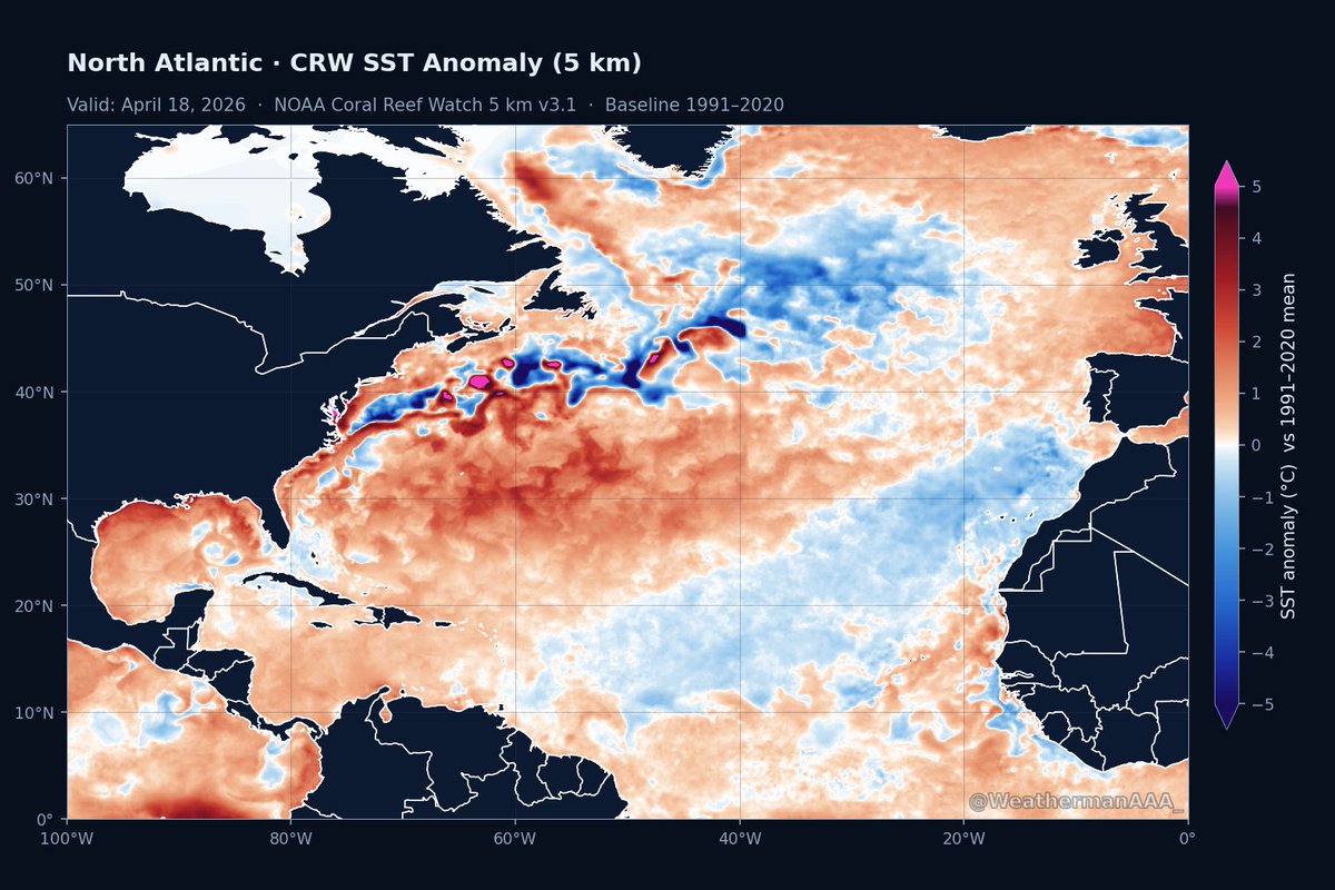 Andrew Austin-Adler tweet media