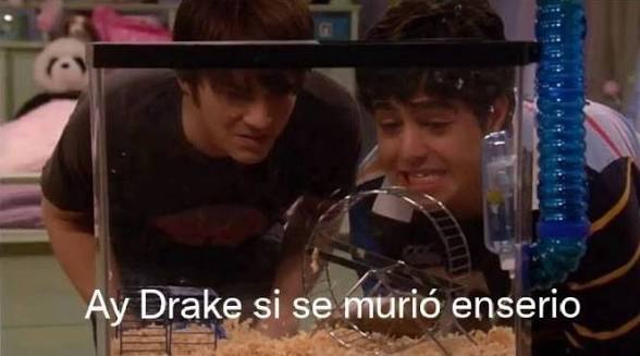 Todos con Roland después de leer la sinopsis de Riginarazione:
#MLBS6Spoilers