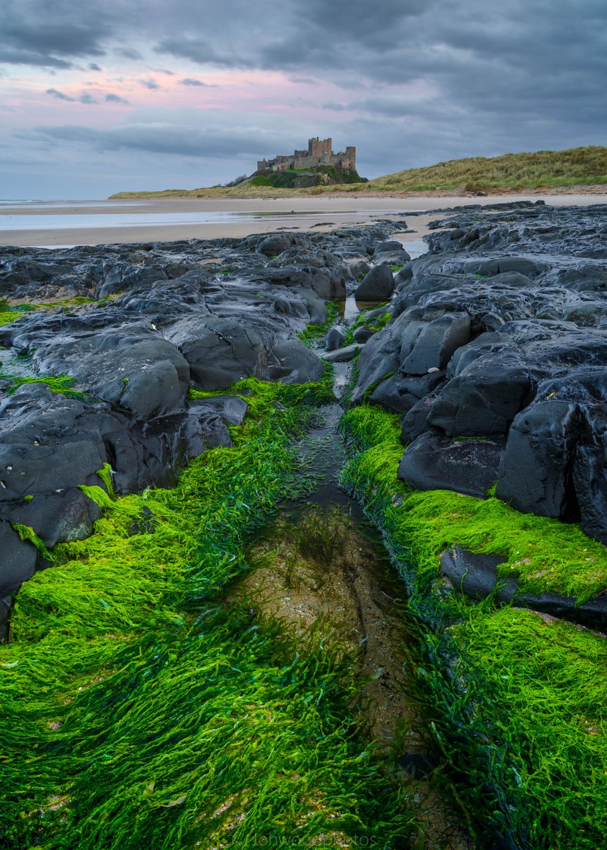 jonwood1978's tweet image. Bamburgh Castle on the beautiful Northumberland coastline...

#northumberland #seascape #getoutside