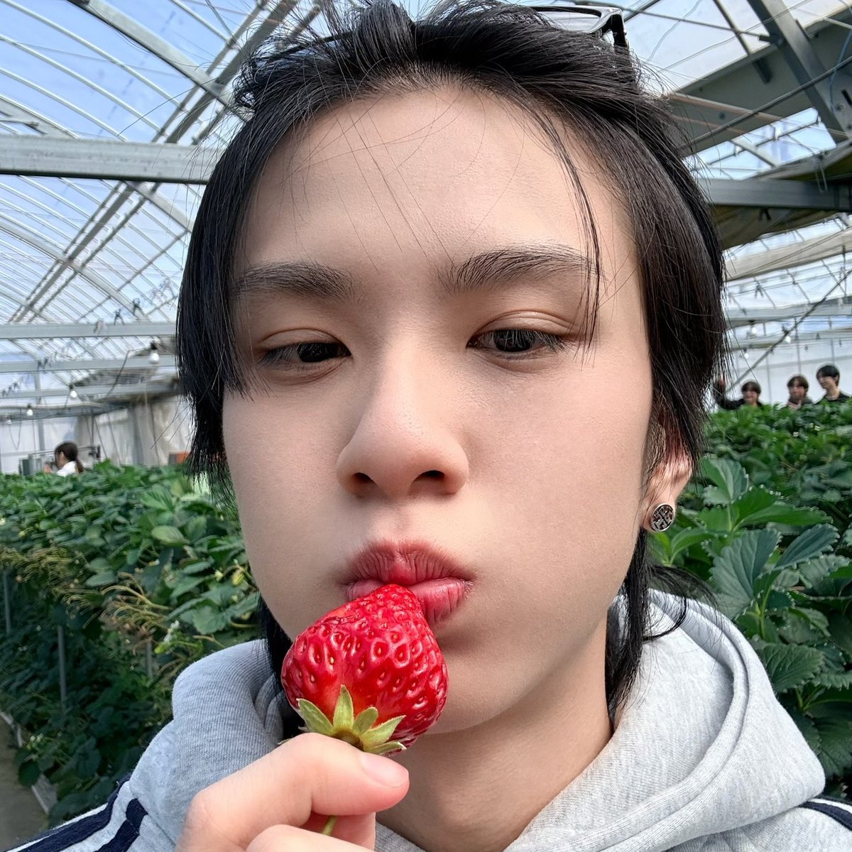 duang with thesa !🍀 tweet media