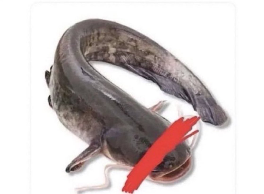 Gracee💕💜 tweet media