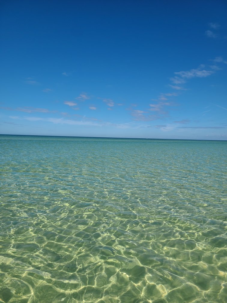 Iowa Matt tweet media