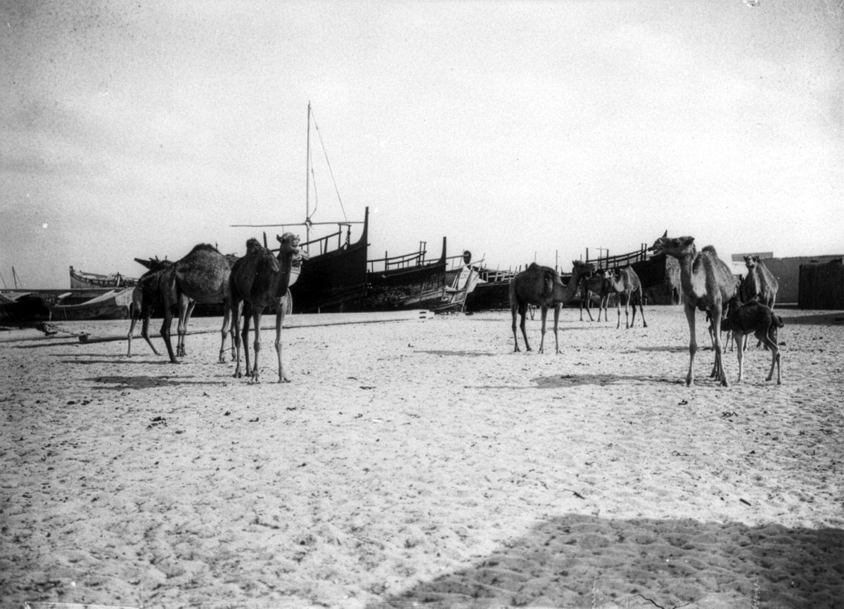 bu hessa tweet media