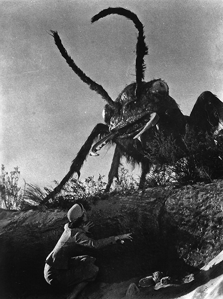 nightwriter22's tweet photo. Film composer Michael Giacchino has spent the last few years working on his directorial debut, Them!, which is a reboot of the 1954 sci-fi classic and a hallmark of the nuclear monster genre. According to reports, the filmmakers want Glen Powell to play the lead role. It is unclear whether Powell will say yes. Whether Powell joins the project or not, the reboot is superfluous, and if Giacchino directs it, it should be an intense, dark sci-fi horror something like Cloverfield. Matt Reeves is involved as a producer.