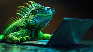 𝕏 Estiben Hernández  tweet media