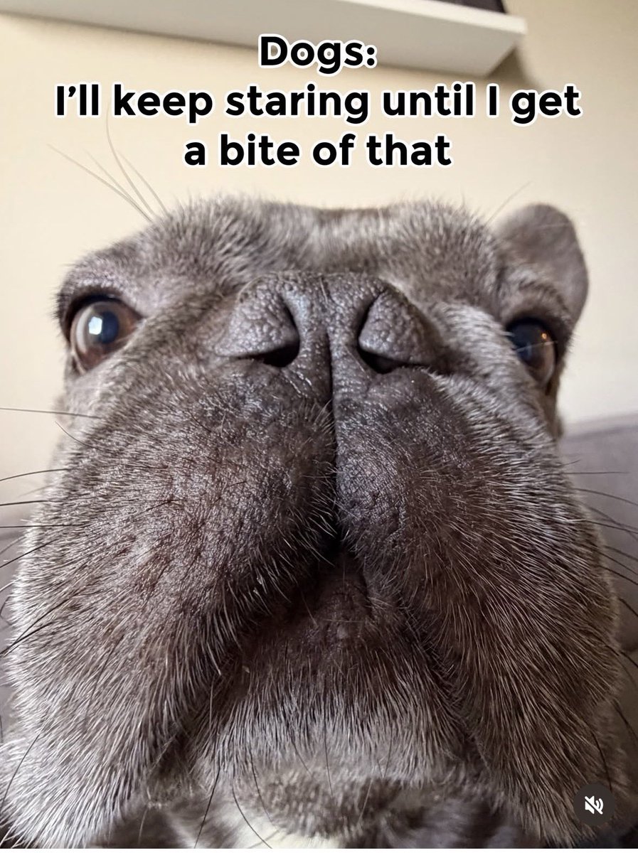 paula wilson tweet media