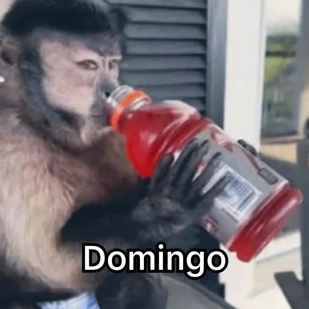 Juan GRRR tweet media