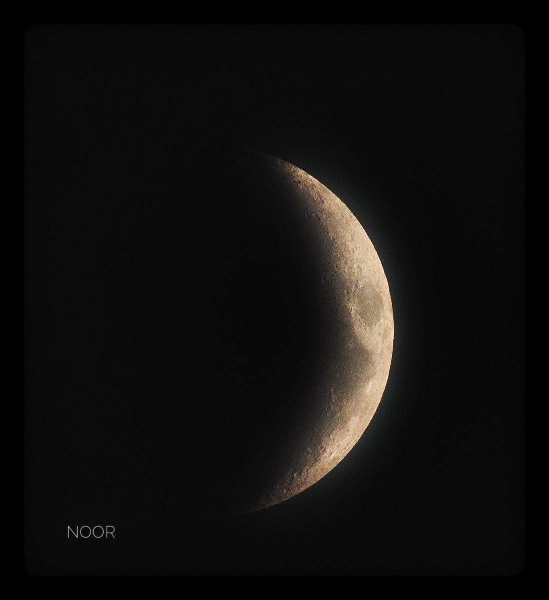 NOOR 𓂆 tweet media
