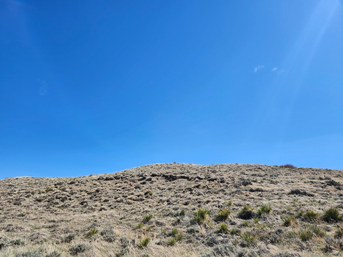 GregLionhart's tweet image. #Hiking #MyPhoto #Photography